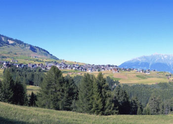 fiss im sommer